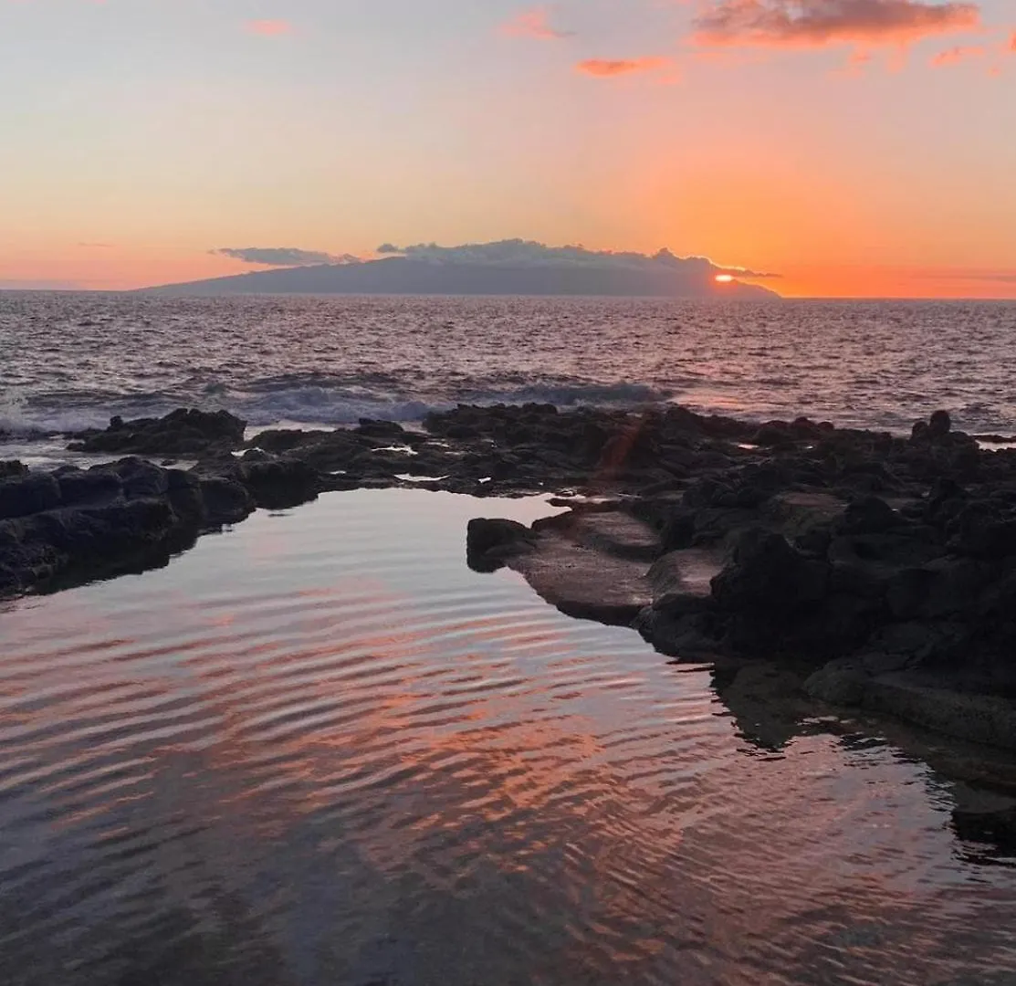 Apartamento Con Vistas En Playa Paraiso, Adeje Costa Adeje  0*, Costa Adeje (Tenerife)